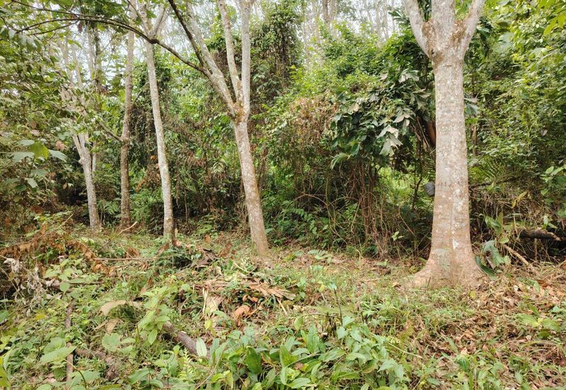 Tanah Pertanian Rembau Mukim Batu Hampar 