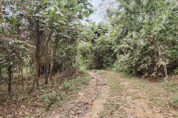 Tanah Pertanian Rembau Mukim Batu Hampar 