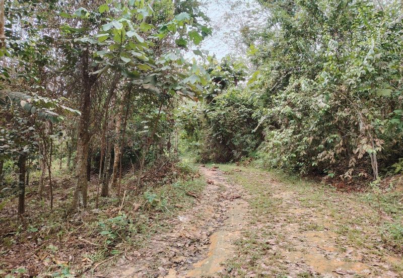 Tanah Pertanian Rembau Mukim Batu Hampar 