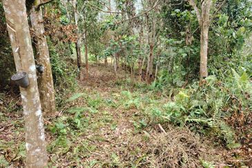 Tanah Pertanian Rembau Mukim Batu Hampar 