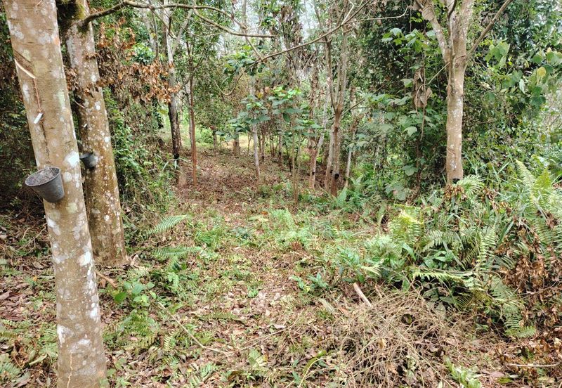 Tanah Pertanian Rembau Mukim Batu Hampar 