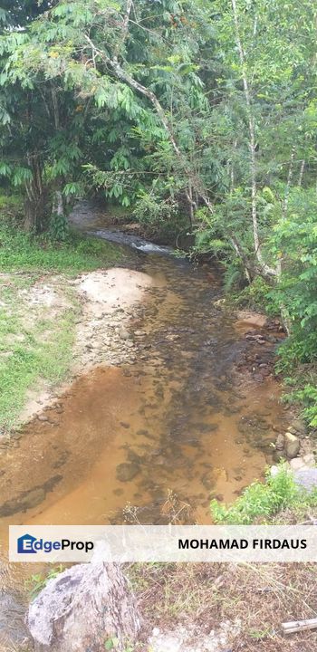 THE BEST 45 ACRES OF AGRICULTURAL LAND IN BIDOR PERAK FOR SALE, Perak, Batang Padang