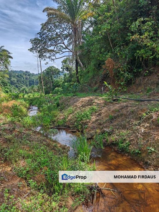 THE BEST 45 ACRES OF AGRICULTURAL LAND IN BIDOR PERAK FOR SALE, Perak, Batang Padang