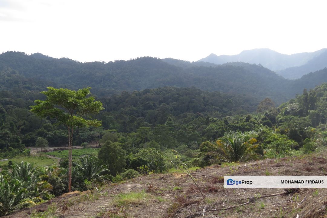 THE BEST 45 ACRES OF AGRICULTURAL LAND IN BIDOR PERAK FOR SALE, Perak, Batang Padang