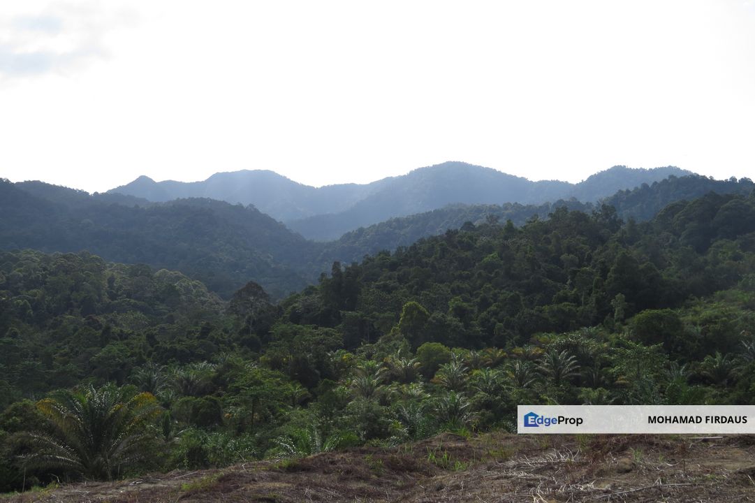 THE BEST 45 ACRES OF AGRICULTURAL LAND IN BIDOR PERAK FOR SALE, Perak, Batang Padang