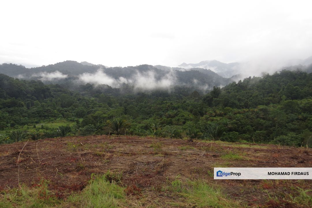 THE BEST 45 ACRES OF AGRICULTURAL LAND IN BIDOR PERAK FOR SALE, Perak, Batang Padang