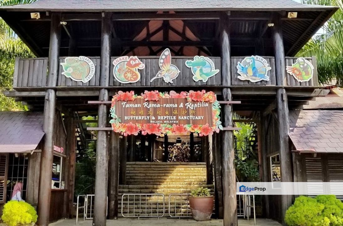 *Ayer Keroh Agriculture Land Behind Royal Custom Melaka*, Melaka, Ayer Keroh