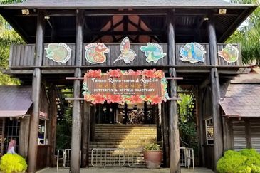 *Ayer Keroh Agriculture Land Behind Royal Custom Melaka*