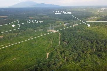 Jasin Freehold Development Land for Sale