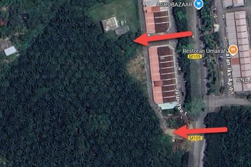 Bemban Freehold Agriculture Land With Access Road