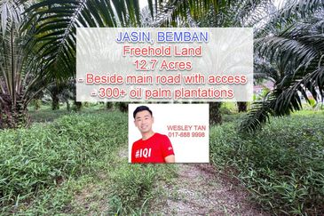 Bemban Freehold Agriculture Land With Access Road