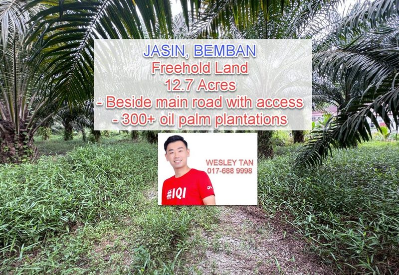 Bemban Freehold Agriculture Land With Access Road