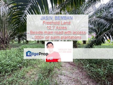Bemban Freehold Agriculture Land With Access Road, Melaka, Bemban