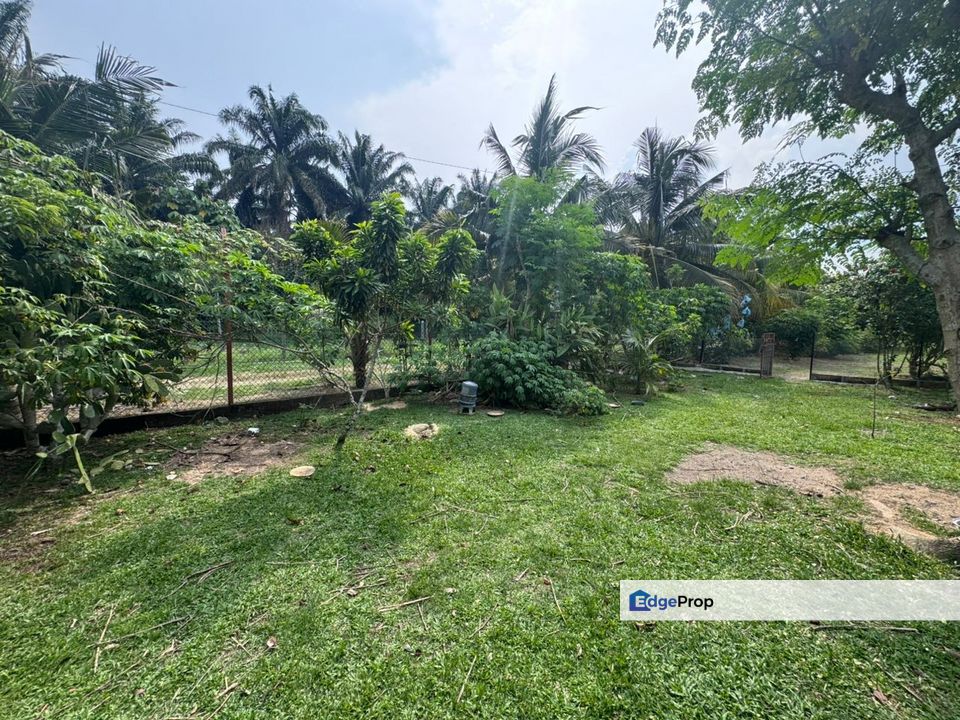 Ayer Molek, Melaka, Freehold, Bungalow 1 Acre Land, For Sale, Melaka, Melaka Raya