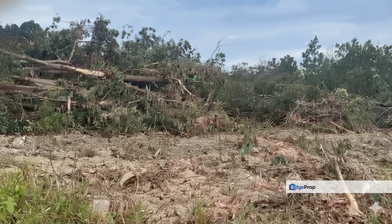 Super Under Value Serkam Freehold MCL Land For Sale, Melaka, 