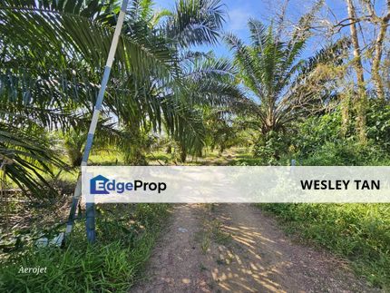  Sungai Rambai 6.13 Acres Palm Oil Freehold Land For Sale , Melaka, Sungai Rambai