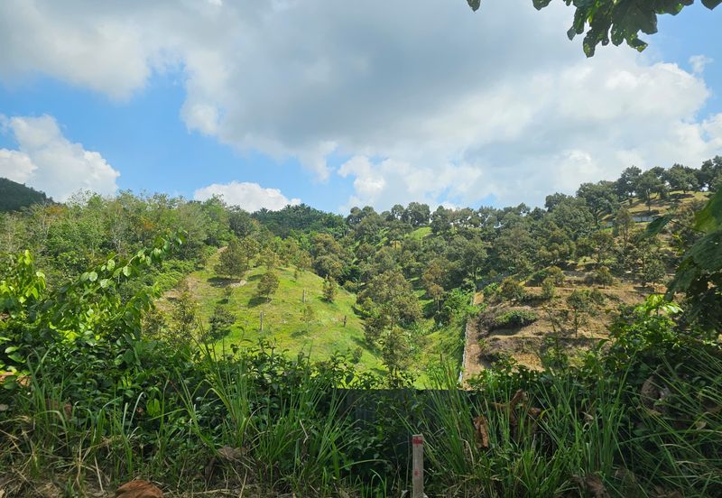Bentong Multiple More Than 1 Acre Gated & Guarded Land For Sale