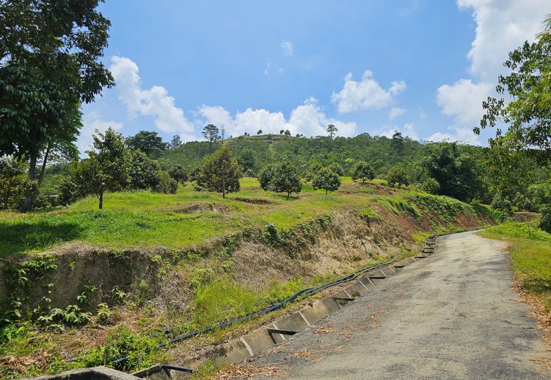 Bentong Multiple More Than 1 Acre Gated & Guarded Land For Sale
