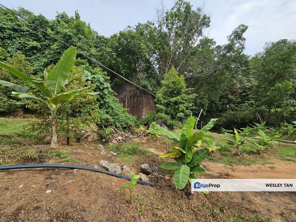 Tampin 10 Acres Durian Freehold Roadside Land For Sale, Negeri Sembilan, Tampin