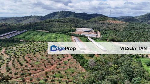 Alor Gajah Near Afamosa 2.19acres Mcl Land Ready Access Road For Sale , Melaka, Alor Gajah
