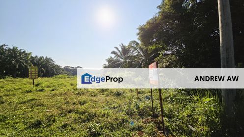 Tanah Lot Freehold Kelapa Sawit 9.43 ekar Hulu Jabur Terengganu, Terengganu, Kemaman