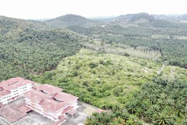 Agricultural  Land Good Location . Commercial ?