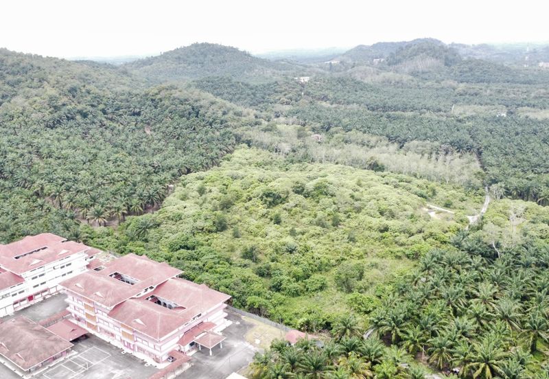 Agricultural  Land Good Location . Commercial ?