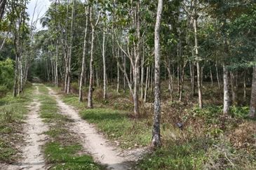 Land Area Kg. Ternang,   Mukim Kuala Paku,Tanah Merah