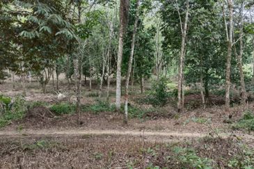 Land Area Kg. Ternang,   Mukim Kuala Paku,Tanah Merah