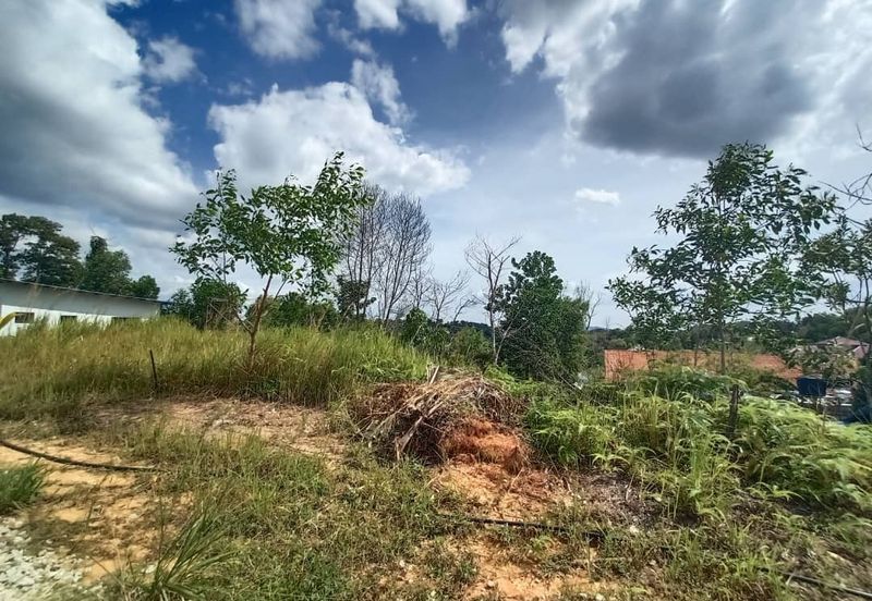 Tanah Pembangunan 3.884 ekar