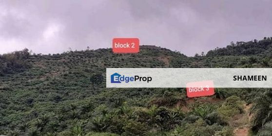 RANAU Tanah 2460 ekar Kelapa Sawit, Sabah, Ranau