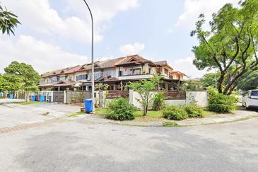 Anggerik Doritis @ Kota Kemuning