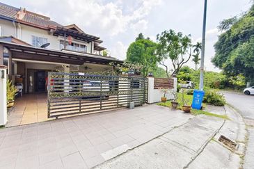 Anggerik Doritis @ Kota Kemuning