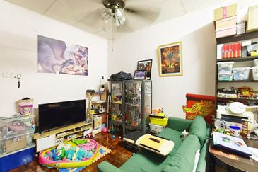 Anggerik Doritis @ Kota Kemuning