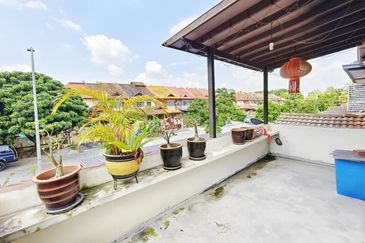 Anggerik Doritis @ Kota Kemuning