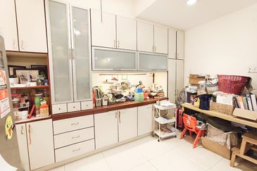 Anggerik Doritis @ Kota Kemuning