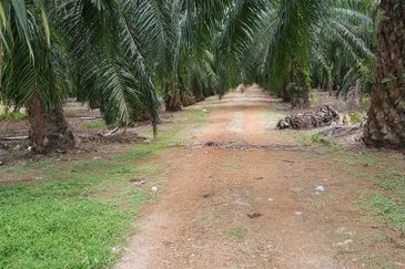 Jeram, Batu 20, Selangor Corner 22 acres Flat Land