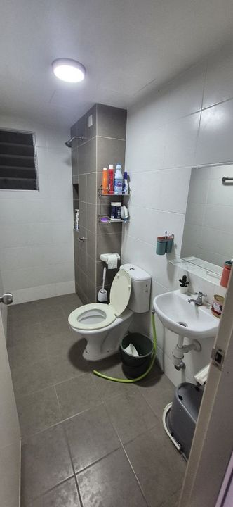 Beautiful d cassia semenyih furnished including washing machine, aircond, etc, Selangor, Semenyih