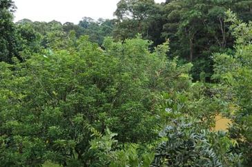 Bandar Baru Sungai Buloh