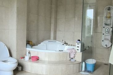 Stulang Laut / Darat