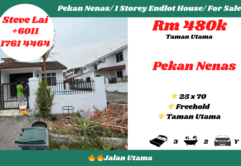 Taman Utama, Pekan Nanas