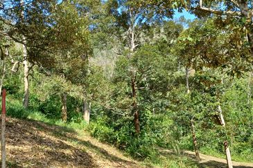 JALAN K.KLAWANG - ULU JELEBU