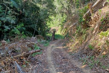 JALAN K.KLAWANG - ULU JELEBU
