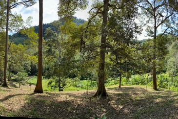 JALAN K.KLAWANG - ULU JELEBU
