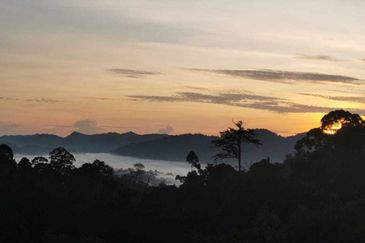 TANARIMBA JANDA BAIK