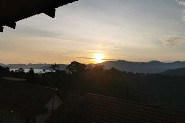 TANARIMBA JANDA BAIK