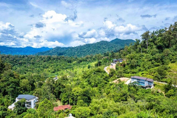 TANARIMBA JANDA BAIK