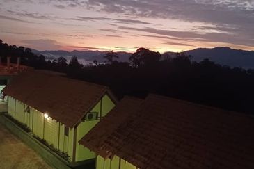 TANARIMBA JANDA BAIK