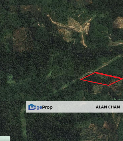 BENTONG AGRICULTURAL LAND FOR SALE, Pahang, Bentong