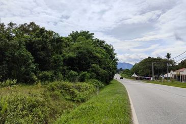 Tras, Raub, Bentong, Pahang Durian Orchards For Sale
